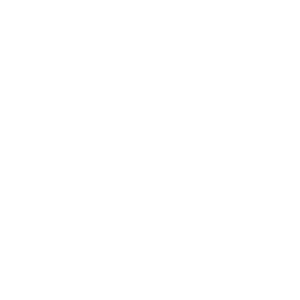 neuromantic.